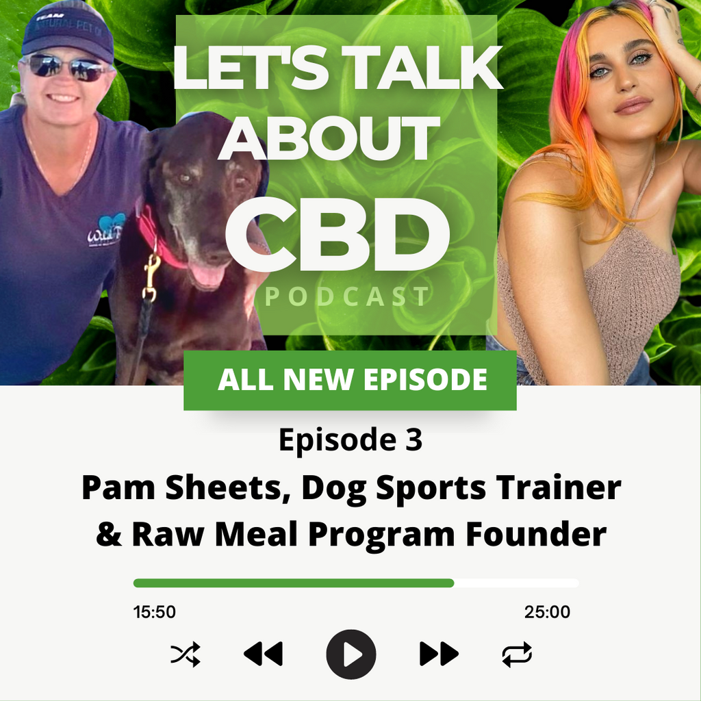 podcast cover of a woman holding a dog, and another interviewing her to talk about cbd dog training and raw meals