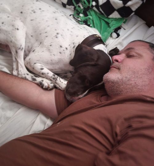 CBD for Pets: How to know if your Pet is Anxious?