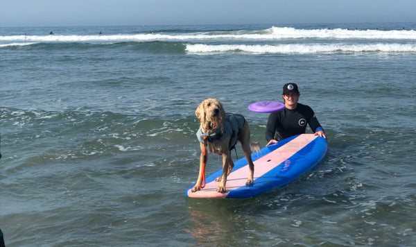 Event: 2018 Imperial Beach Surf Dog Competition