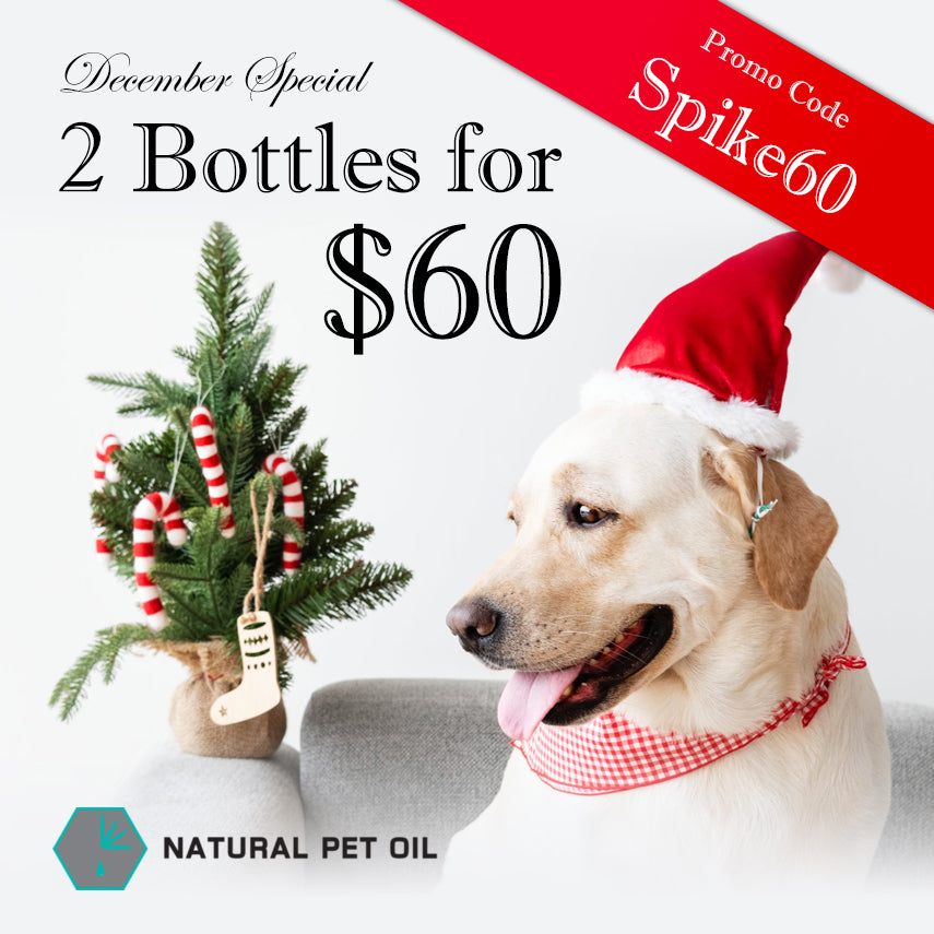 December Special! Get 2 bottles of Natural Pet Oil for only $60