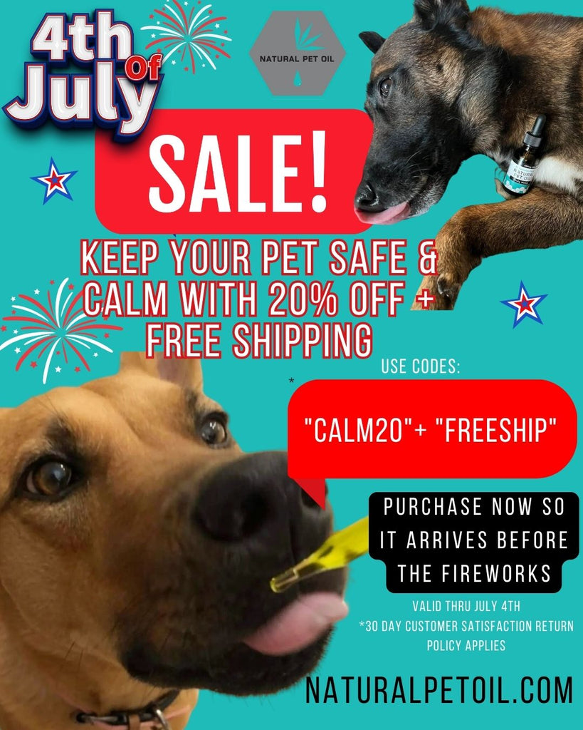 Natural Pet Oil: A Safe Solution for Calming Pets During Fourth of July Fireworks
