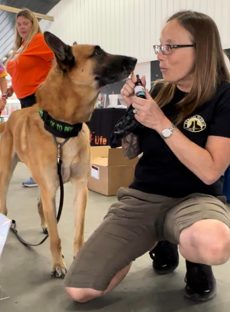 Falling into Comfort: How CBD Can Help Your Canine Companion Navigate Autumn