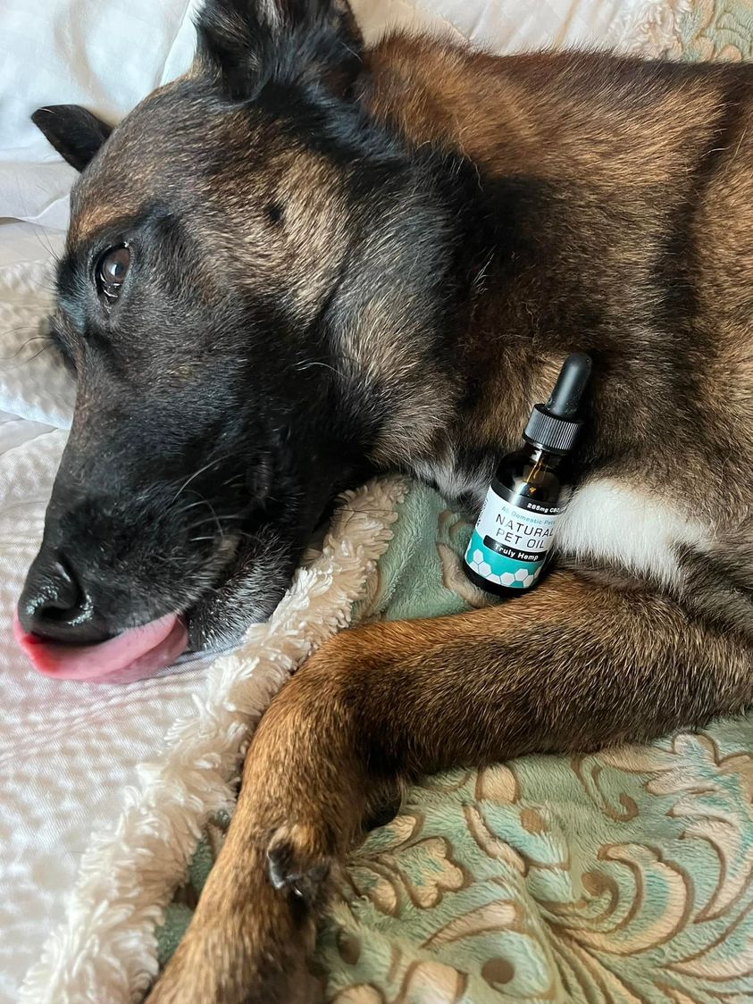 265 mg CBD/CBG + Omega Oils: Special Blend